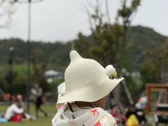 -山水一号·中餐厅