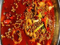 -宽口美蛙鱼头(大唐西市店)