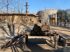 -北京野生动物园