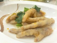 -坚记酒家·佛山老字号·顺德鱼生标准示范店