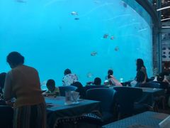 -瑞德姆美人鱼海底演艺主题餐厅(亚龙湾店)