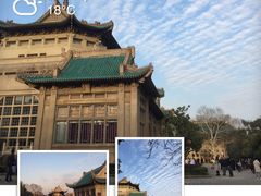 -武汉大学-樱园