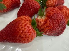 -禾斗海鲜自助(市南银座店)