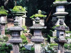-奈良公园