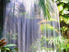 -上海辰山植物园