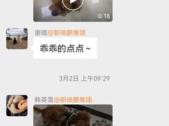 -美联众合动物医院·24h转诊中心