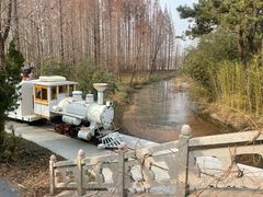 -日照海滨国家森林公园