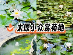 -碑林公园