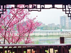 -望江楼公园