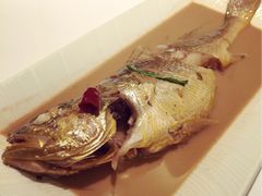 -福1015(愚园路店)