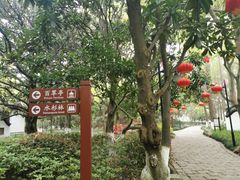 -瀛洲公园