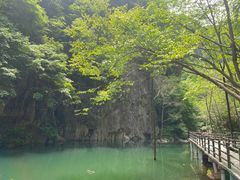 -龙峪湾国家森林公园