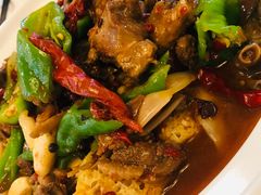 -新疆兵团食府清真(马连道店)
