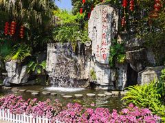 -广州市流溪河国家森林公园