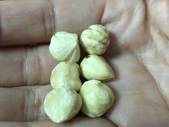 土耳其榛子仁-来伊份(金港大道二店)