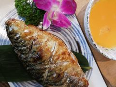 青花鱼-酒井酱子·深夜食堂(东城汇店)