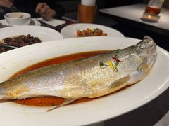 清蒸白水鱼-醉庐·新上海菜(南京西路店)