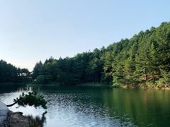 -四明山国家森林公园