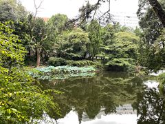 -叶家花园