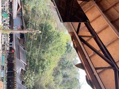 -野象谷景区