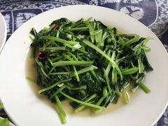 -翕庐小苑
