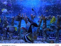 -太平洋海底世界