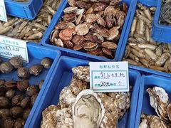 -渡海小渔村.老辈日照菜