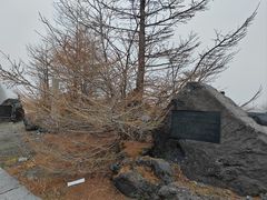 -富士山吉田線五合目