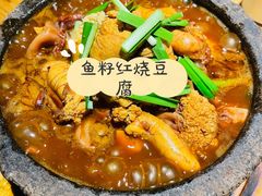 -老阿妈蒙古村·蒙古包·草原文化·歌舞表演(老君堂店)