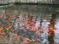 -水磨沟公园