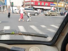-真素诚(玉泉路总店)