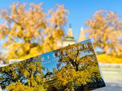 -北京石刻艺术博物馆(五塔寺)