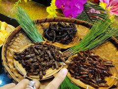 虫三拼-昆虫窝子·特色云南菜(拓东路总店)