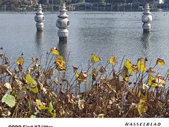 -葛仙湖公园
