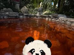 -中家鑫园温泉酒店鑫悦汤泉