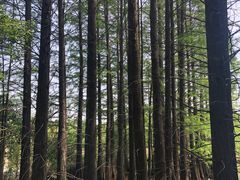 -东湖落雁景区