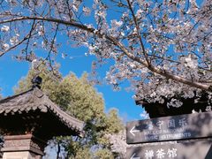-广富林郊野公园