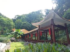 -广州市帽峰山景区