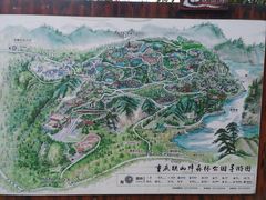 -铁山坪森林公园