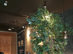 -同仁四季椰子鸡(无锡滨湖万象汇店)