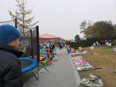-两河城市森林公园