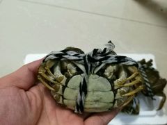 -喜洋洋蟹庄(阳澄湖店)