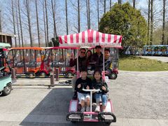 -黄海国家森林公园