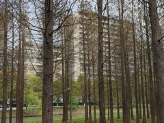 -昆山城市生态森林公园