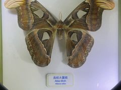 -香港科学馆