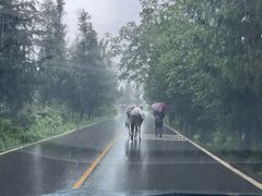 -宋记冕宁土菜馆(海门渔村二店)