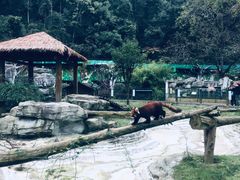 -黔灵山公园