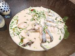 青椒紫苏锅-鲜潭蒸汽石锅鱼(五道口购物中心店)