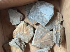 -房山世界地质公园博物馆