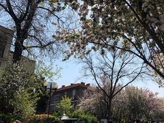 -天津五大道文化旅游区